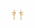 Classic Shine Stud | Gold Stainless Steel Earrings (Pair)